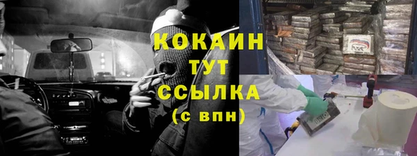 спиды Инсар