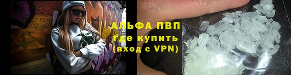 твердый Иннополис