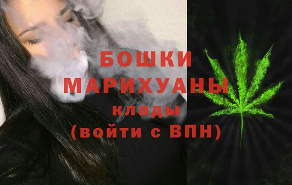 спиды Инсар