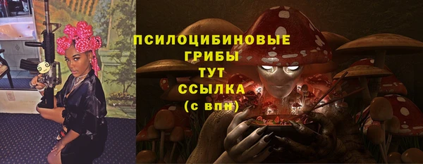 твердый Иннополис