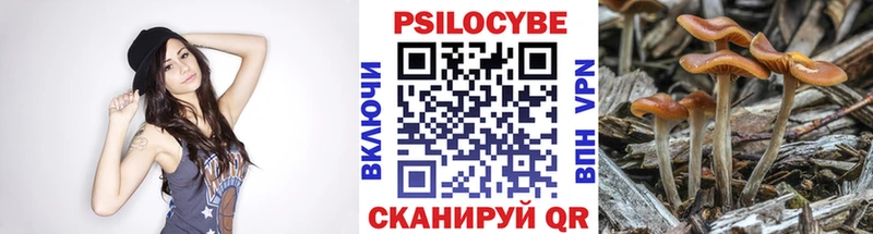 Купить  Сосногорск  Псилоцибиновые грибы Cubensis 